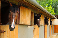 free Minehead stable construction quotes
